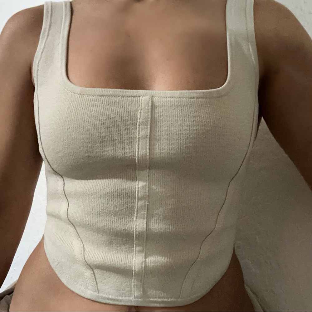 Aritzia tan Fitted Bustier Tank Top